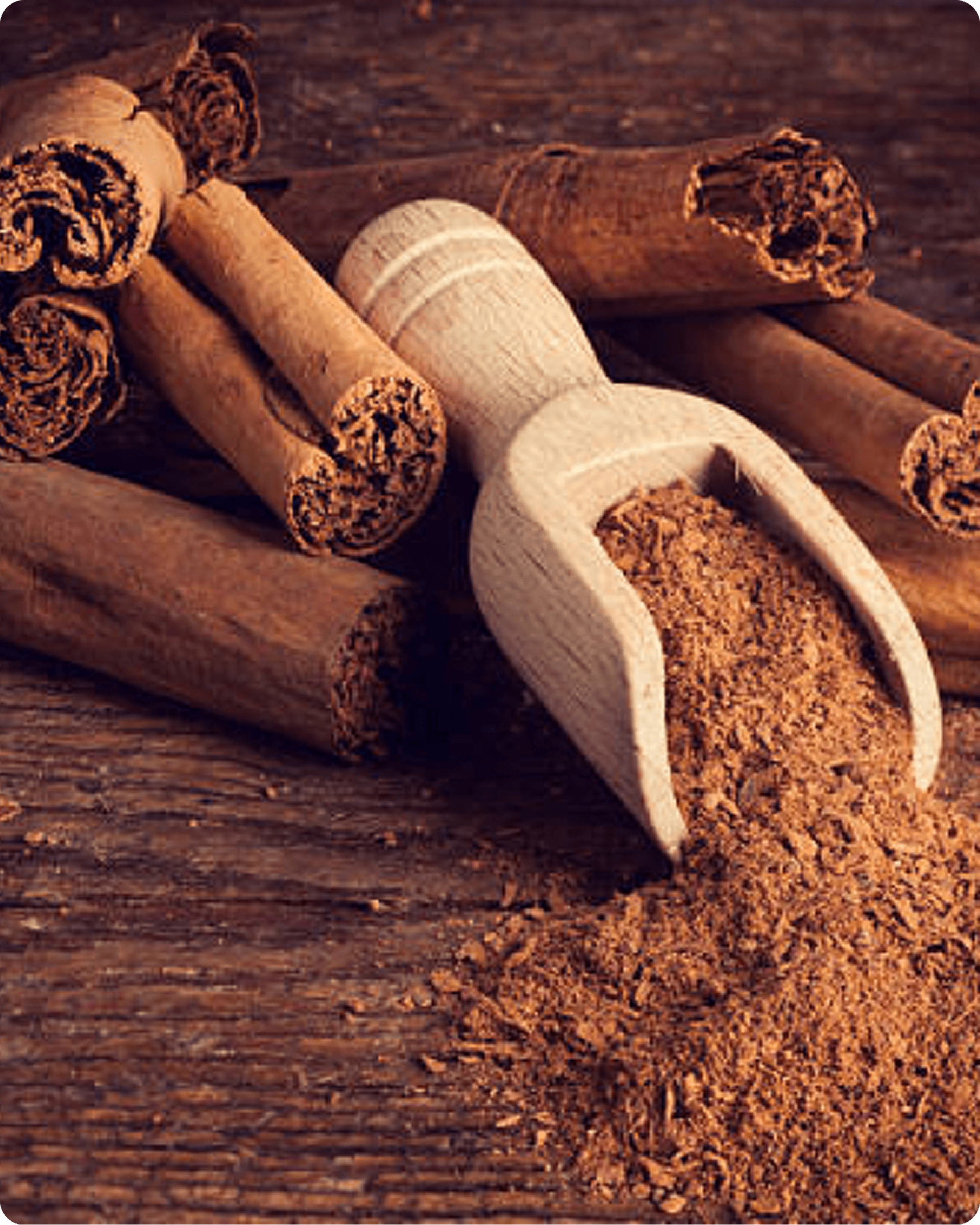 Leading Sri Lankan Exporter