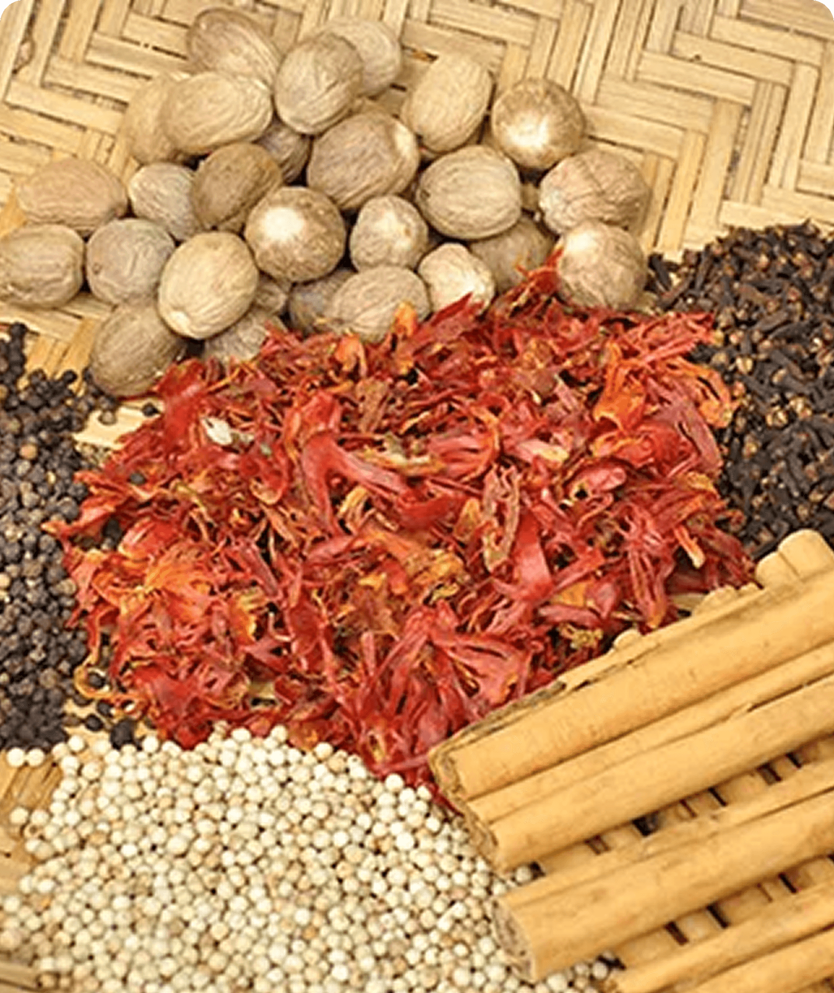 Leading Sri Lankan Exporter